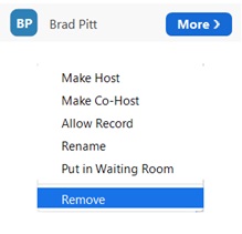 Image showing the option to remove a participant